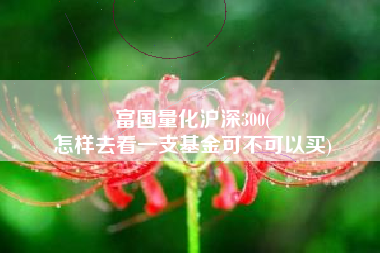 富国量化沪深300(
怎样去看一支基金可不可以买) 富国量化沪深300(
怎样去看一支基金可不可以买)