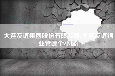 大连友谊集团股份有限公司(大连友谊物业管哪个小区)