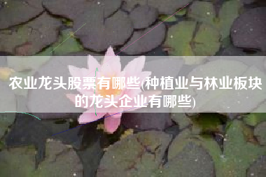农业龙头股票有哪些(种植业与林业板块的龙头企业有哪些)