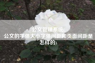 公文管理系统(
公文的字体大小字体间距和页面间距是怎样的) 公文管理系统(
公文的字体大小字体间距和页面间距是怎样的)