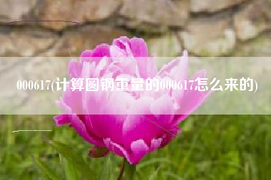 000617(计算圆钢重量的000617怎么来的)