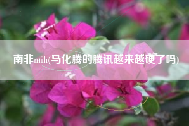 南非mih(马化腾的腾讯越来越硬了吗)