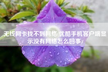 无线网卡找不到网络(优酷手机客户端显示没有网络怎么回事)