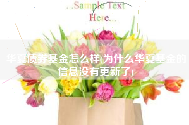 华夏债券基金怎么样(为什么华夏基金的信息没有更新了)