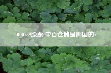 000759股票(中百仓储是哪国的)