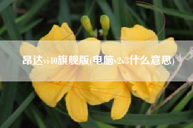 昂达vi40旗舰版(电脑v2v3什么意思)