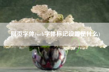 网页字体(web字体标记设置是什么)
