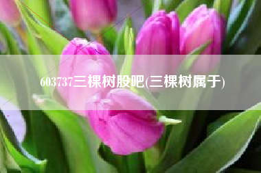 603737三棵树股吧(三棵树属于)