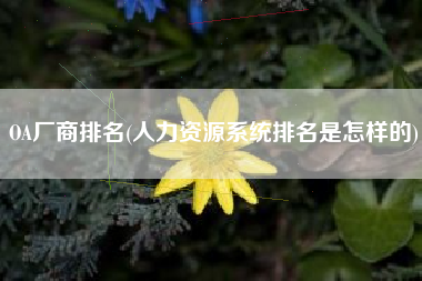 OA厂商排名(人力资源系统排名是怎样的)