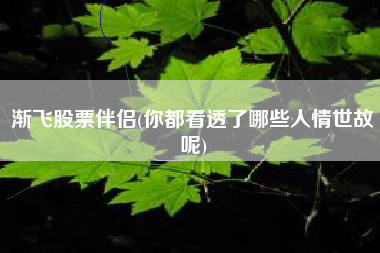 渐飞股票伴侣(你都看透了哪些人情世故呢)