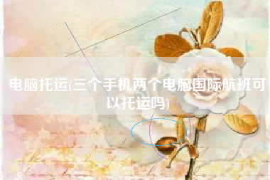 电脑托运(三个手机两个电脑国际航班可以托运吗)