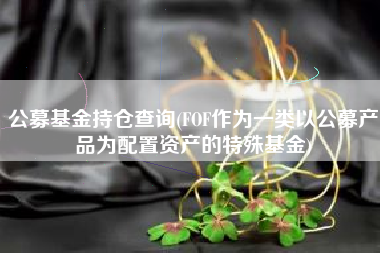 公募基金持仓查询(FOF作为一类以公募产品为配置资产的特殊基金)