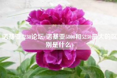 诺基亚5230论坛(诺基亚5800和5230最大的区别是什么)
