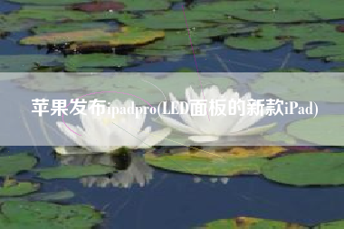 苹果发布ipadpro(LED面板的新款iPad)