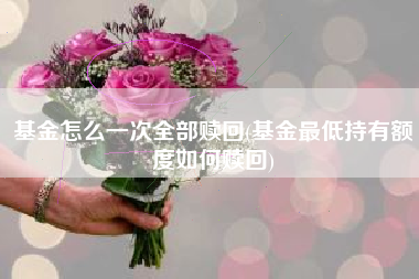 基金怎么一次全部赎回(基金最低持有额度如何赎回)
