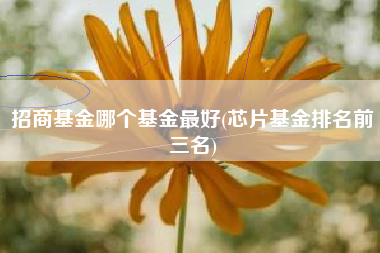 招商基金哪个基金最好(芯片基金排名前三名)