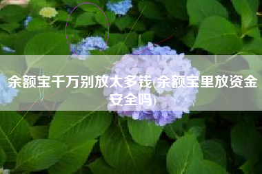 余额宝千万别放太多钱(余额宝里放资金安全吗)