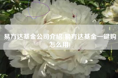 易方达基金公司介绍(易方达基金一键购怎么用)