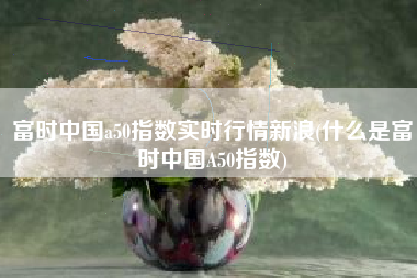 富时中国a50指数实时行情新浪(什么是富时中国A50指数)