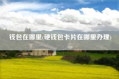 钱包在哪里(硬钱包卡片在哪里办理)