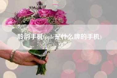 聆韵手机(pple是什么牌的手机)
