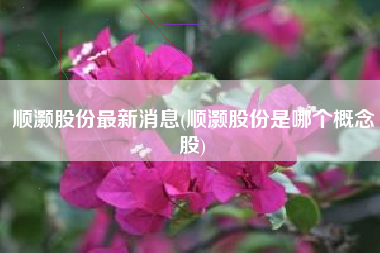 详细阅读:顺灏股份最新消息(顺灏股份是哪个概念股) 顺灏股份最新消息(顺灏股份是哪个概念股)