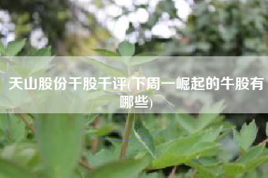 天山股份千股千评(下周一崛起的牛股有哪些)