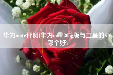 华为mate评测(华为mate305g版与三星的S10哪个好)