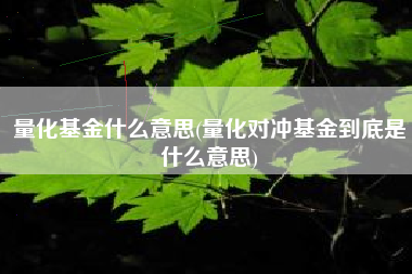 量化基金什么意思(量化对冲基金到底是什么意思)