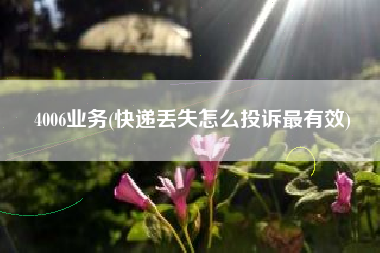 4006业务(快递丢失怎么投诉最有效)