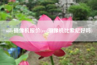 sony摄像机报价(red摄像机比索尼好吗)