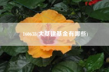 160638(大基建基金有哪些)