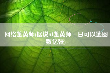 网络鉴黄师(据说AI鉴黄师一日可以鉴图数亿张)
