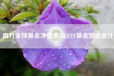 南方全球基金净值查询(ETF基金到底是什么)