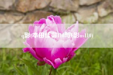 q影(本田佳御110与E影ns110)