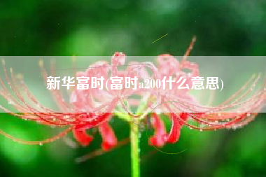 新华富时(富时a200什么意思)