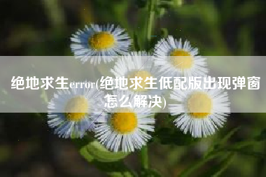 绝地求生error(绝地求生低配版出现弹窗怎么解决)