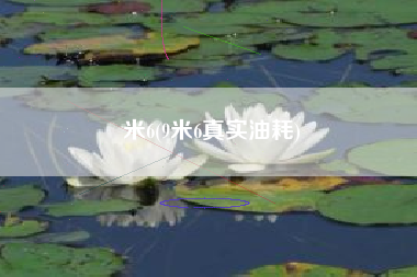 米6(9米6真实油耗)