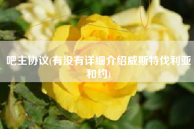 吧主协议(有没有详细介绍威斯特伐利亚和约)