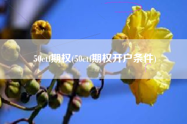 50etf期权(50etf期权开户条件)