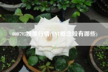 000793股票行情(TNT概念股有哪些)