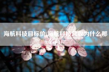 详细阅读:海航科技目标价(海航科技营收为什么那么高) 海航科技目标价(海航科技营收为什么那么高)