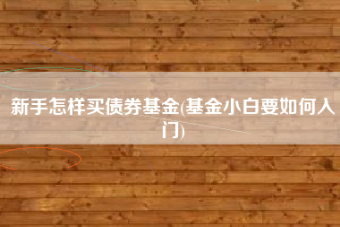 新手怎样买债券基金(基金小白要如何入门)