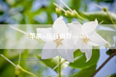 苹果6s运行内存(vivo6s)