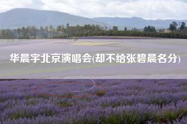 华晨宇北京演唱会(却不给张碧晨名分)