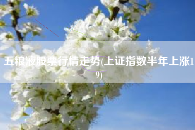五粮液股票行情走势(上证指数半年上涨19)