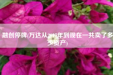融创停牌(万达从2017年到现在一共卖了多少资产)