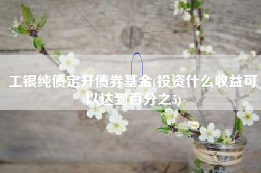 工银纯债定开债券基金(投资什么收益可以达到百分之5)