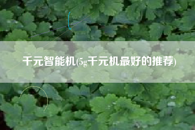 千元智能机(5g千元机最好的推荐)