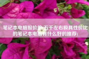 笔记本电脑报价单(五千左右极具性价比的笔记本电脑有什么好的推荐)